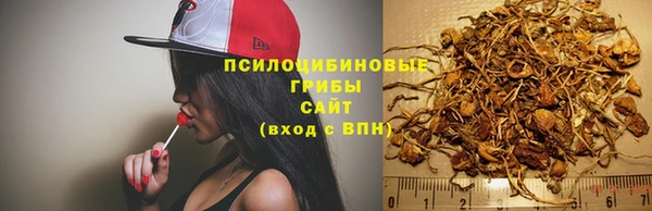 apvp Волоколамск