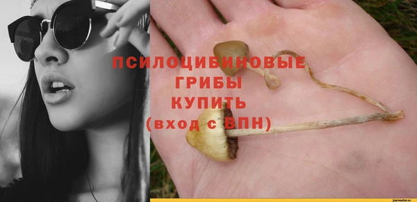 первитин Волосово